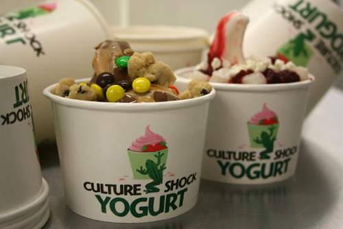 Culture Shock Yogurt